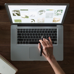trabajar en línea, trafficker digital, emprendedores